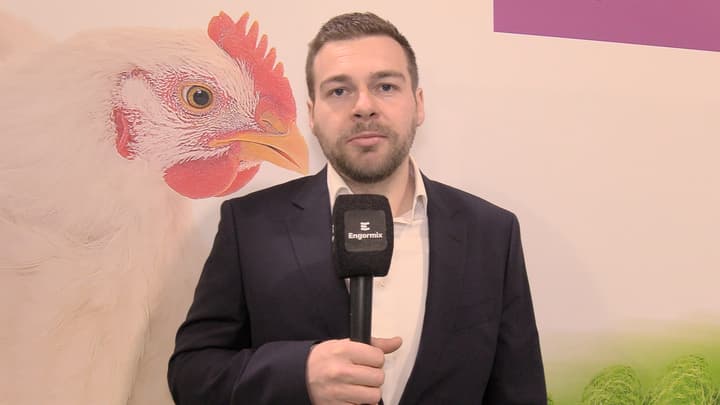 Inside Probiotics: Germination, Outgrowth, and Gut Health in Poultry