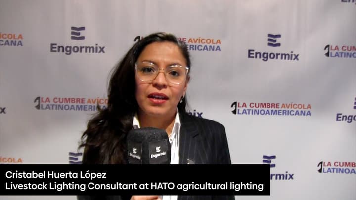 Lighting as a Strategic Tool for Optimizing Poultry House Performance