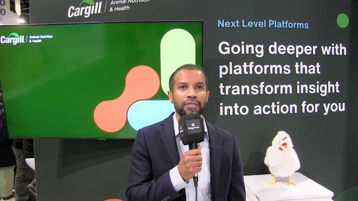 Postbiotics-phytogenic synergy supports improved layer production performance during APEC challenge