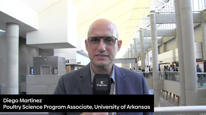 Three evaluated approaches to refine the classical net energy system fail to match the predictive strength of productive energy