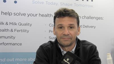 Amino Acid Market Evolution