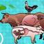 Symposium on Gut Health in Production of Food Animals 2023
