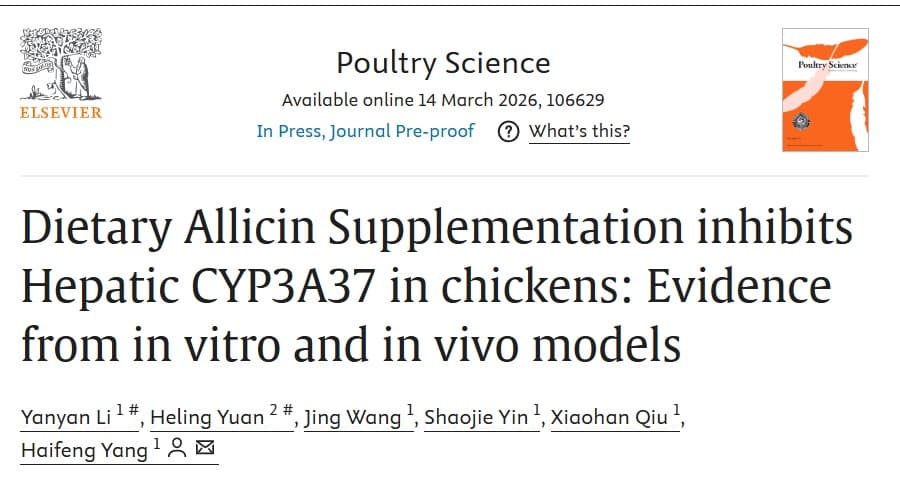 AJO interacciona metabólica con ANTIBIOTICOS?: ensayos en pollo - 1