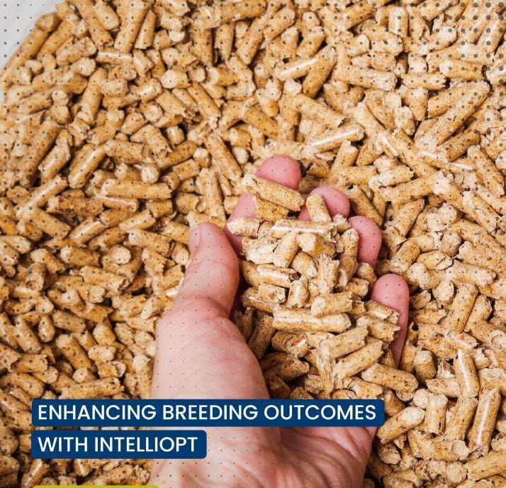 Enhancing breeding outcomes - 1