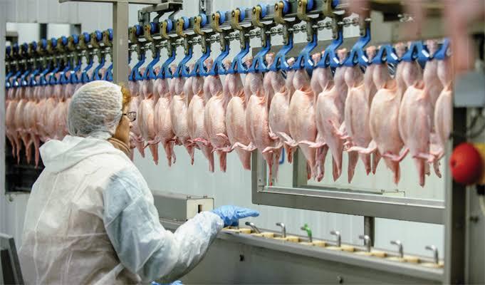 India’s Poultry Revolution: The Rise of Processed Chicken - 2