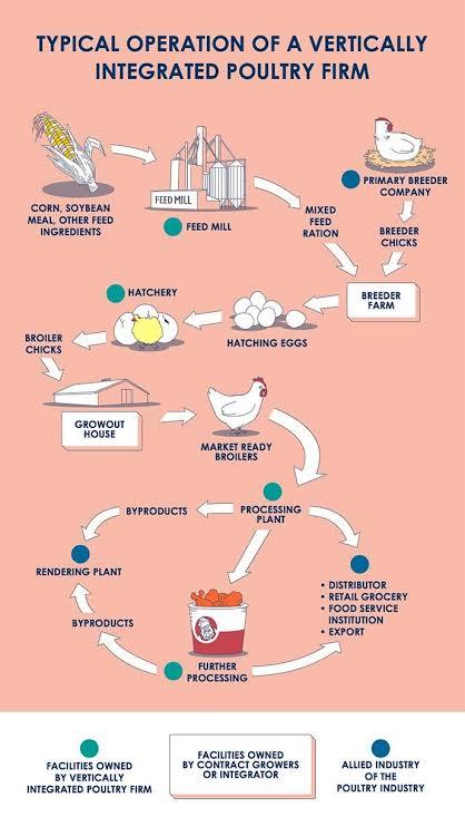 Ethical Challenges in the Broiler Value Chain - Present Realities & Future Prospects - 1