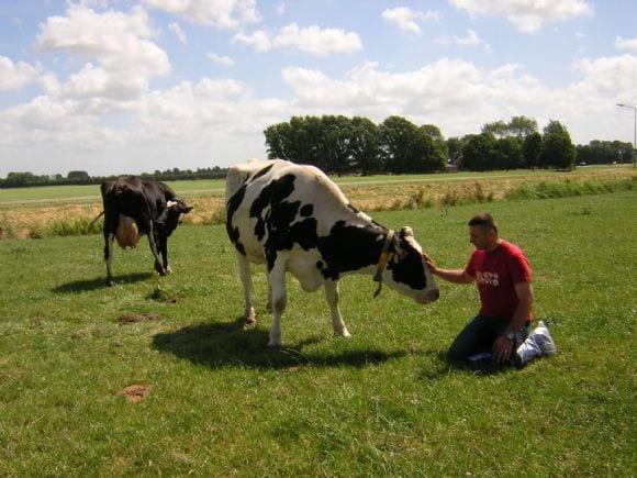 On Farm