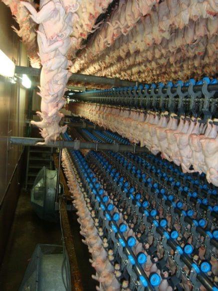 TopKip Combi chilling system