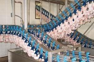 TopKip Combi chilling system (2)