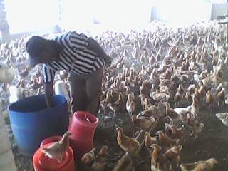 supply of clean water