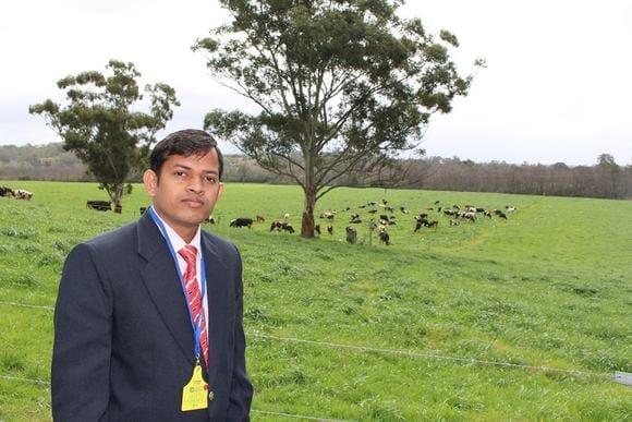 Future Dairy farm Camden Australia