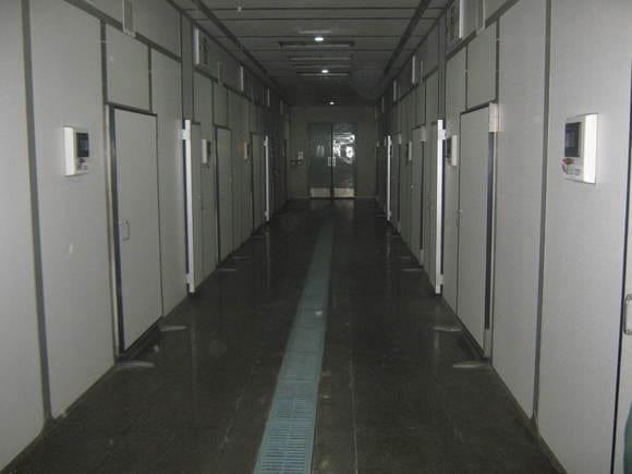 Setter room view of a commercial hatchery
