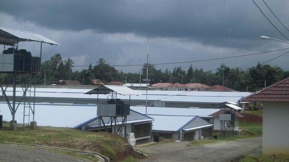 Sukamulya 1 Farm Broiler breeders