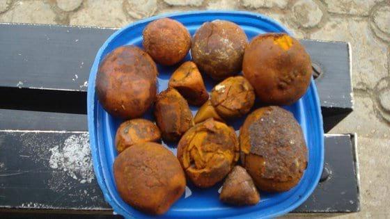 Cow /Ox Gallstones for sale