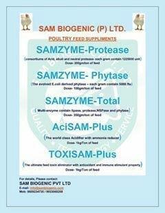 our product s