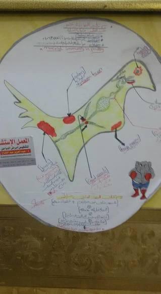 immigination photo by dr abdelaziz for mucosal immunity in poultry