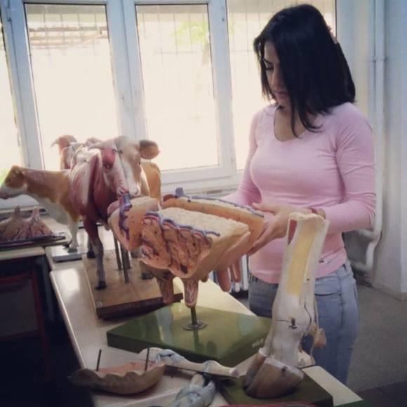 studying  anatomy and physiology :)