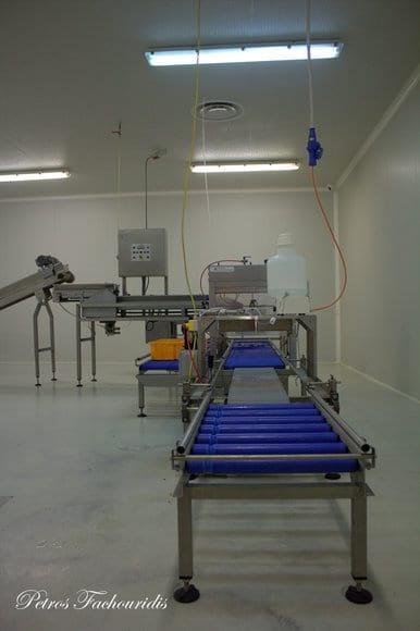 COUNTER CHICKS MACHINE & SPRAY VACCINES LINE