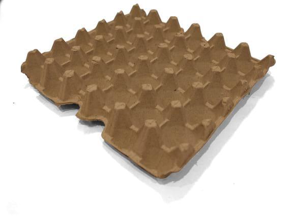 egg tray