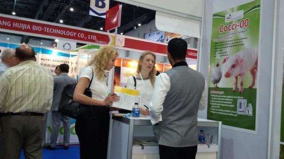 VIV Asia in Bangkok