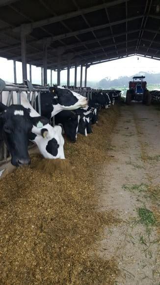 Farm consultancy in Brazil
