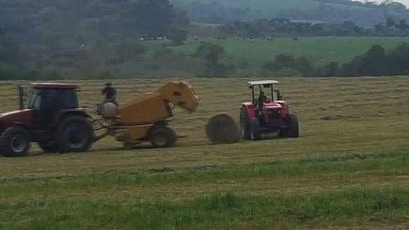 Silage making in Brazil