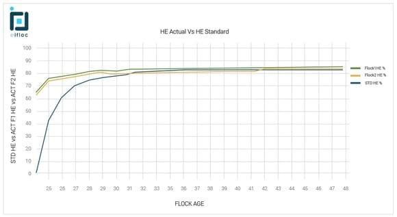 Hatching Egg Productions- Actual vs Standard