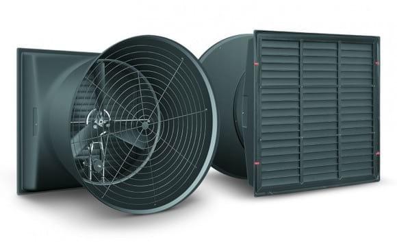 fan