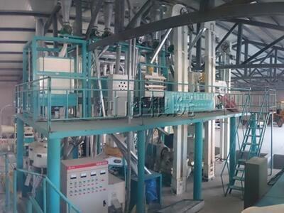 Analysis on the Development Characteristics of Corn Grinding Mill Industry