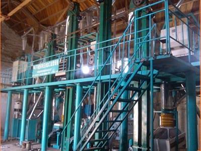 Analysis on the Development Advantages of Corn Grinding Mill Enterprises in China