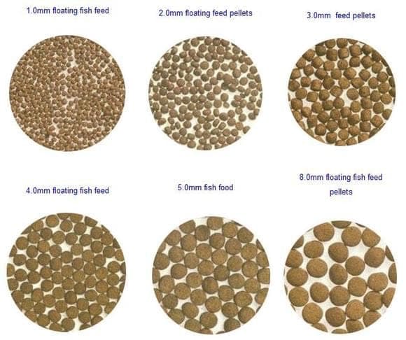 fish feed pellets | Engormix