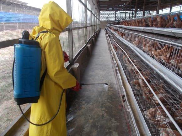 BIOSECURITY