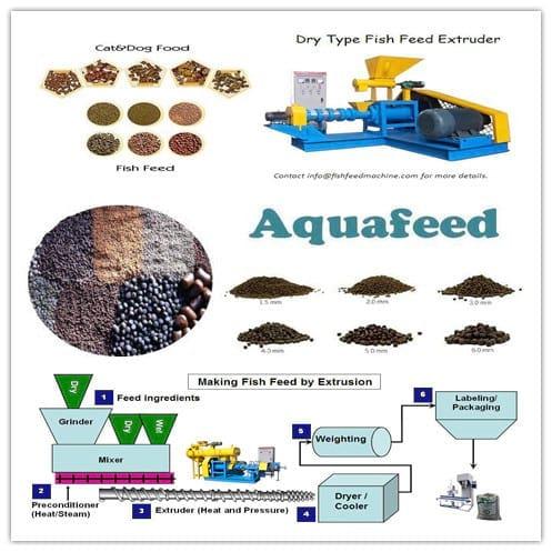Fish feed extrusion process