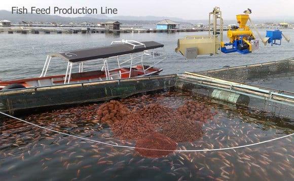 fish feed production plant