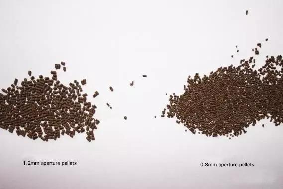 ZHENG CHANG Small-aperture Dies Create High-quality Pellets