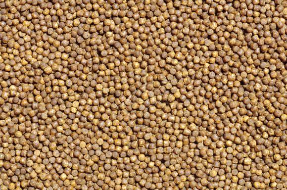 How to control the moisture content of feed products in winter