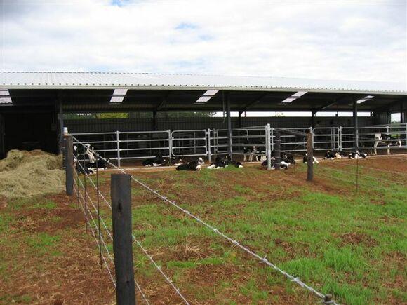 Access to pasture