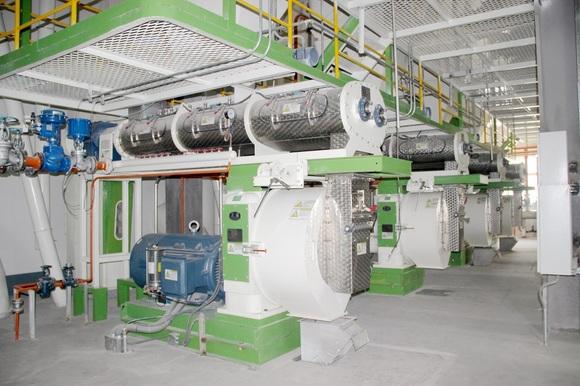 Effect of each feed processing procedure on feed quality