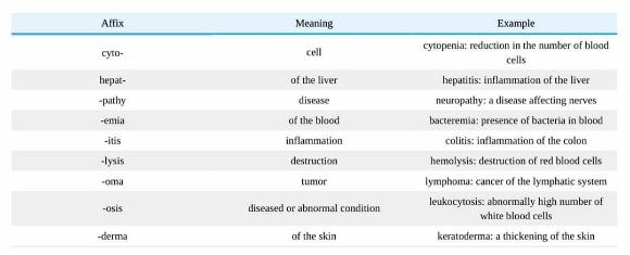#microbiology