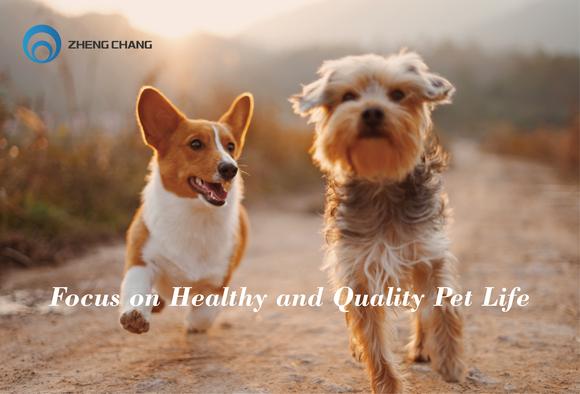ZHENG CHANG Pet Food Production Solution