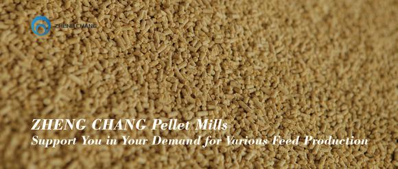 ZHENG CHANG Pellet Mill