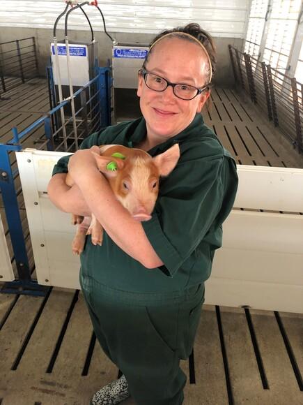 A day on the farm