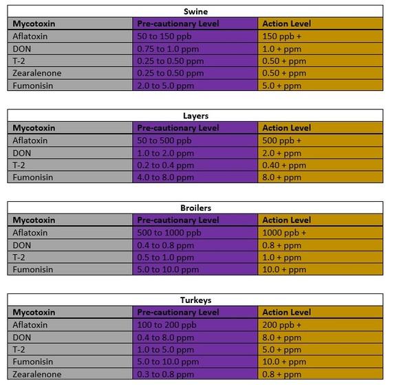 Mycotoxicosis in livestock species