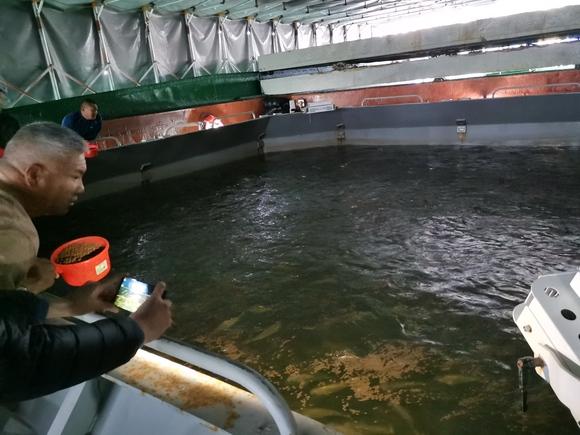 Aquacultue Project in Malysia