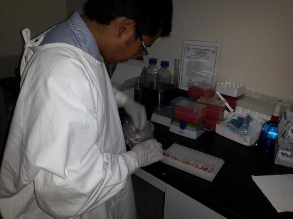 Blood Sample Preparation