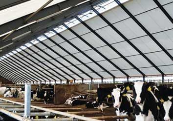 PVC Roofing