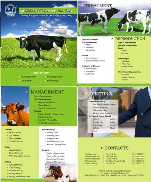 description of services profile