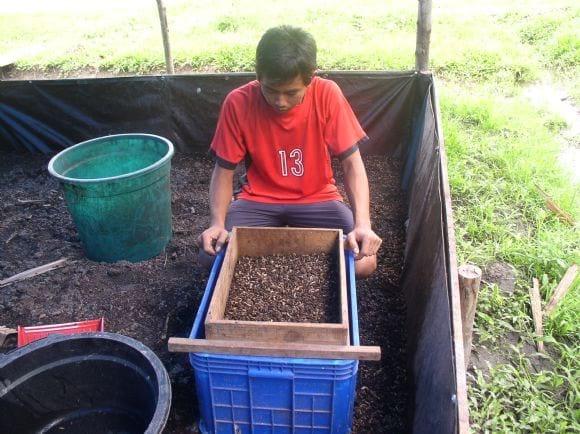 Harvest 2
