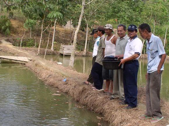Aplication maggot fresh to fish