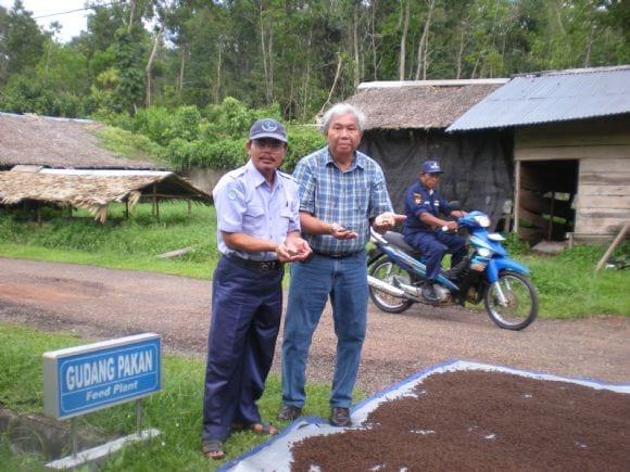 Ediwarman and Saurin HEM